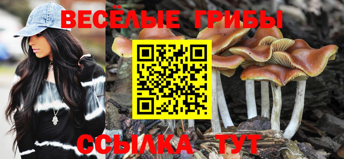 Тихорецк  Галлюциногенные грибы мухоморы  Вход с VPN 